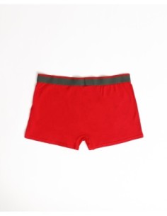 Calzoncillo/Boxer Muerdago para Hombre | MrDandy 2