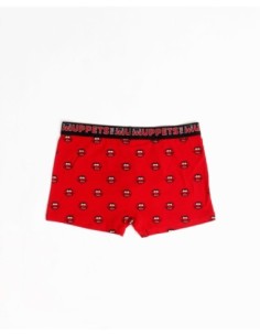 Calzoncillo/Bóxer Animal Caja Metal Regalo | MrDandy 2