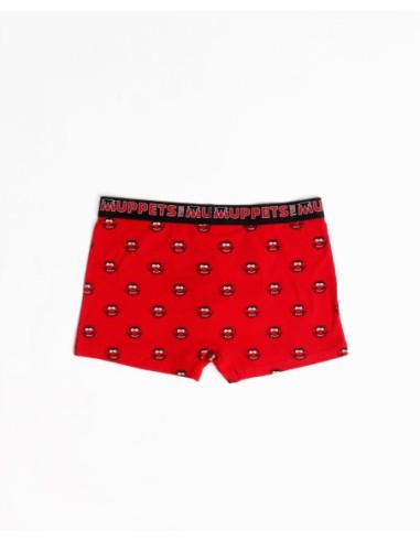 Calzoncillo/Bóxer Animal Caja Metal Regalo | MrDandy