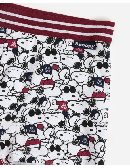 Calzoncillo/Bóxer Joe Cool para Hombre, (Caja | MrDandy