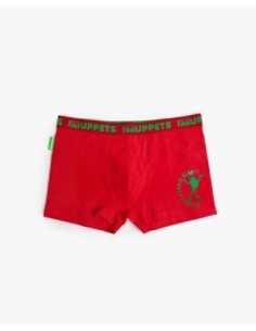 Calzoncillo/Boxer Kermit Caja Regalo para | MrDandy