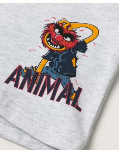 MUPPETS Calzoncillo/Boxer Animal para Hombre, | MrDandy