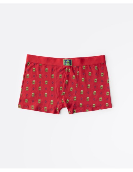 Calzoncillo/Boxer Kermit Face Caja Metal | MrDandy