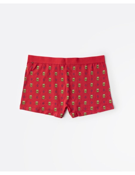 Calzoncillo/Boxer Kermit Face Caja Metal | MrDandy