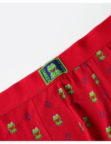 Calzoncillo/Boxer Kermit Face Caja Metal | MrDandy