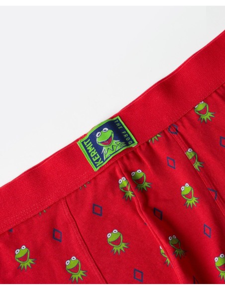 Calzoncillo/Boxer Kermit Face Caja Metal | MrDandy