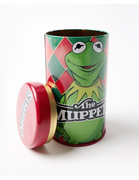 Calzoncillo/Boxer Kermit Face Caja Metal | MrDandy