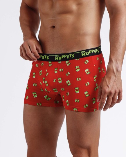 Calzoncillo/Bóxer Kermit Bote Metal Regalo | Lovehomewear