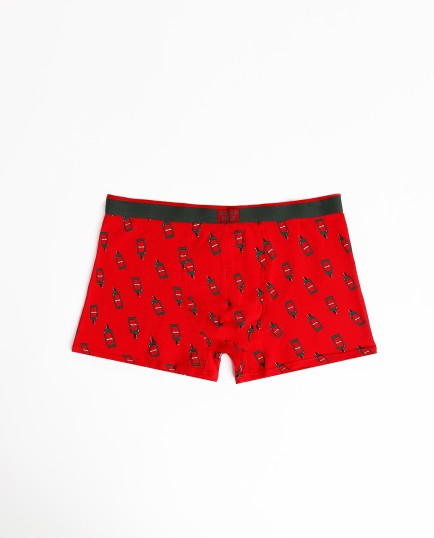 Calzoncillo/Boxer North Pole para Hombre | Lovehomewear