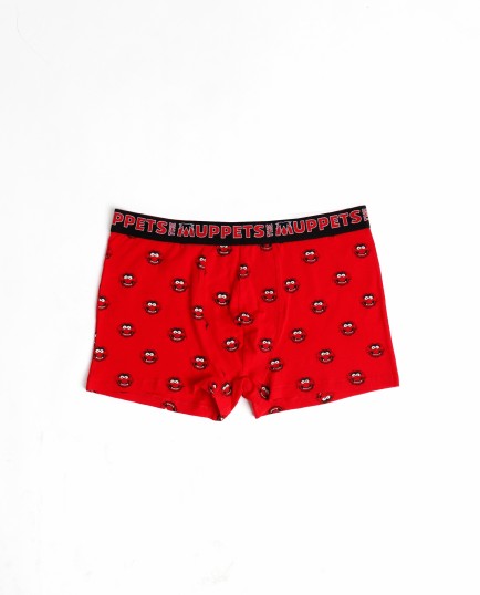 Calzoncillo/Bóxer Animal Caja Metal Regalo | Lovehomewear