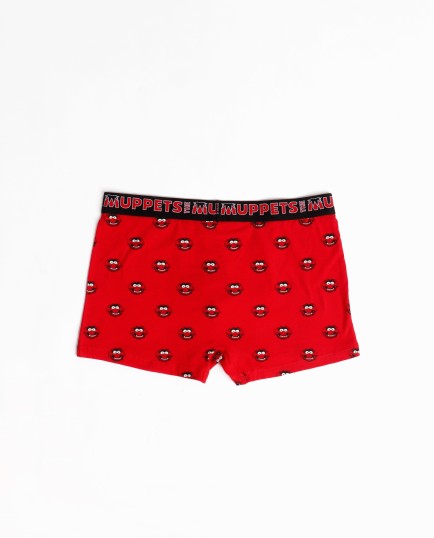 Calzoncillo/Bóxer Animal Caja Metal Regalo | Lovehomewear 2