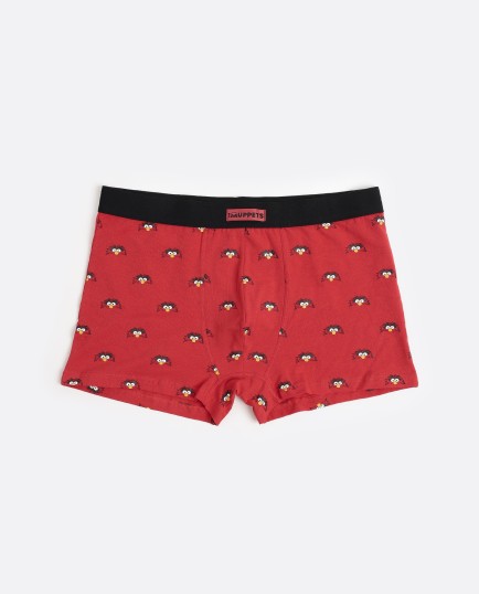 Calzoncillo/Boxer Animal Caja Metal Regalo | Lovehomewear